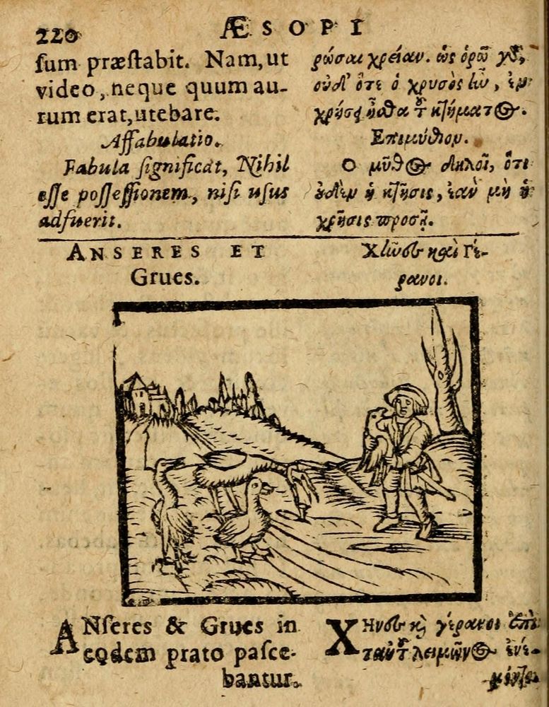 Scan 0226 of Æsopi Phrygis Fabulae graece et latine, cum aliis quibusdam opusculis