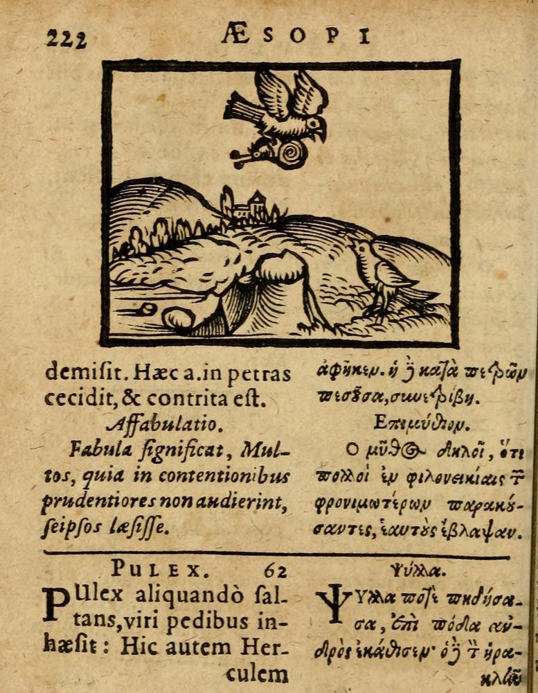 Scan 0228 of Æsopi Phrygis Fabulae graece et latine, cum aliis quibusdam opusculis