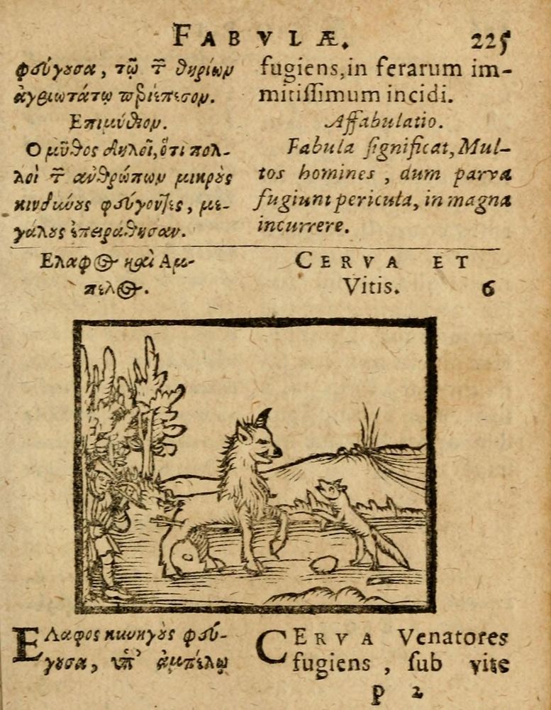 Scan 0231 of Æsopi Phrygis Fabulae graece et latine, cum aliis quibusdam opusculis