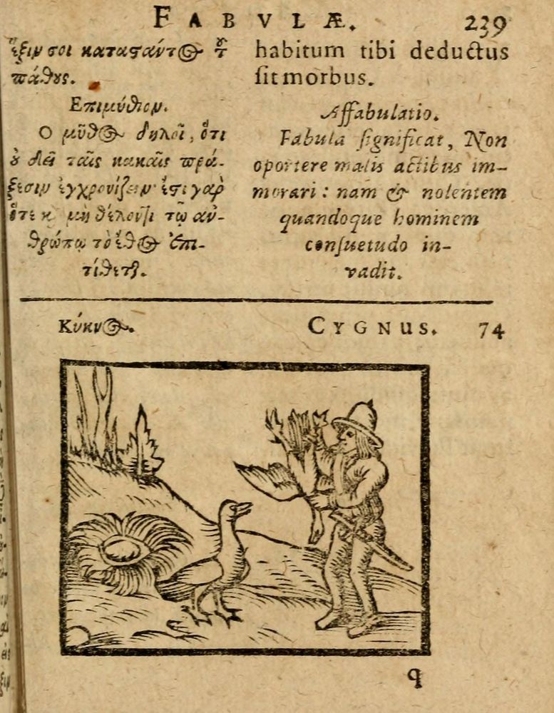 Scan 0245 of Æsopi Phrygis Fabulae graece et latine, cum aliis quibusdam opusculis