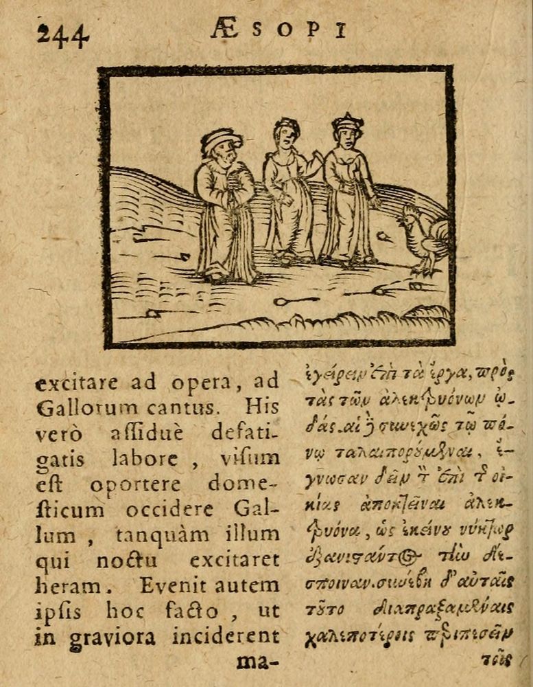 Scan 0250 of Æsopi Phrygis Fabulae graece et latine, cum aliis quibusdam opusculis