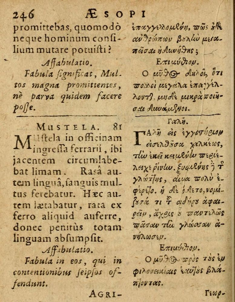 Scan 0252 of Æsopi Phrygis Fabulae graece et latine, cum aliis quibusdam opusculis