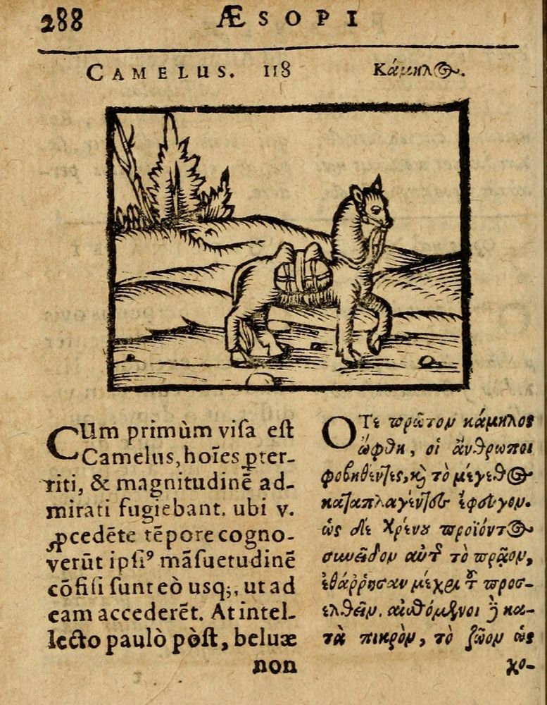 Scan 0294 of Æsopi Phrygis Fabulae graece et latine, cum aliis quibusdam opusculis