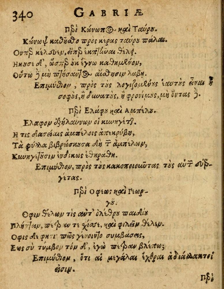 Scan 0346 of Æsopi Phrygis Fabulae graece et latine, cum aliis quibusdam opusculis