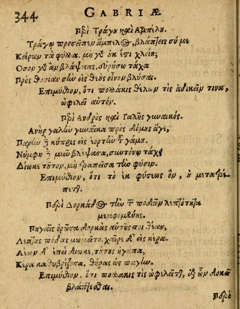Scan 0350 of Æsopi Phrygis Fabulae graece et latine, cum aliis quibusdam opusculis