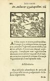 Thumbnail 0168 of Aesopi Phrigis Et Aliorvm Fabvlae