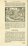 Thumbnail 0174 of Aesopi Phrigis Et Aliorvm Fabvlae
