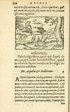 Thumbnail 0240 of Aesopi Phrigis Et Aliorvm Fabvlae