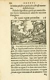 Thumbnail 0258 of Aesopi Phrigis Et Aliorvm Fabvlae
