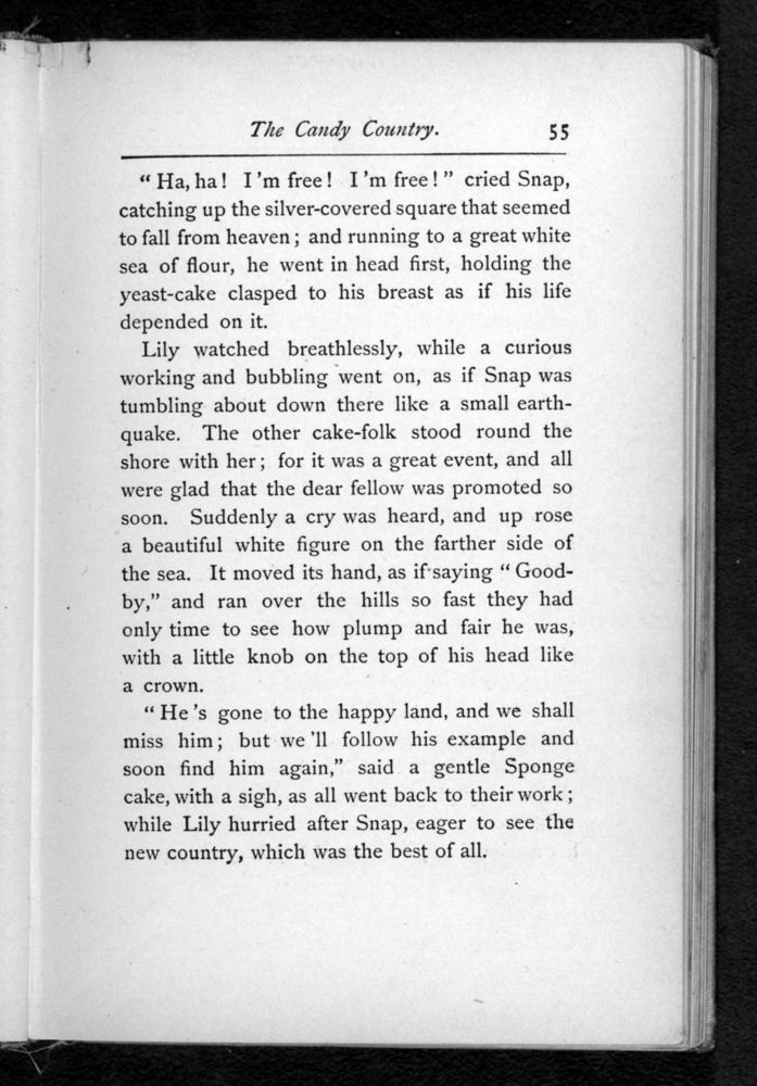 Scan 0059 of The Louisa Alcott reader