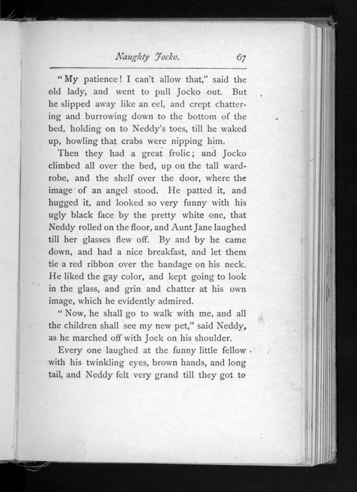 Scan 0071 of The Louisa Alcott reader