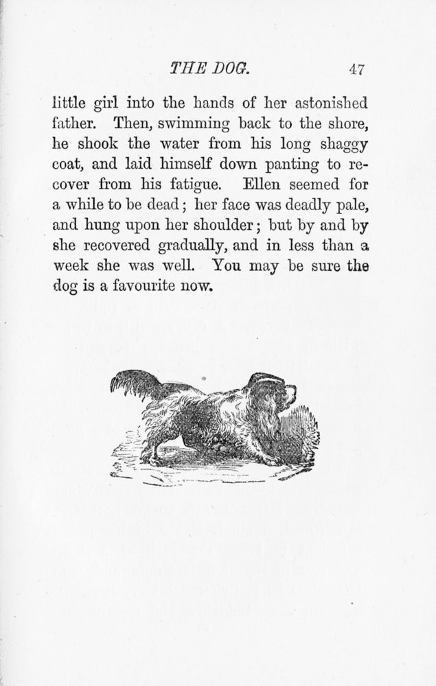 Scan 0049 of A book of favourite animals