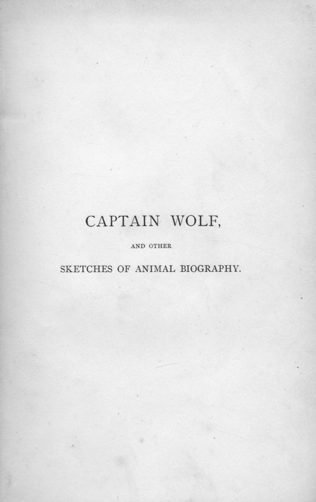 Scan 0005 of Captain Wolf