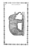 Thumbnail 0004 of History and anecdotes of the elephant