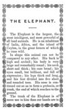 Thumbnail 0005 of History and anecdotes of the elephant