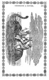 Thumbnail 0015 of History and anecdotes of the elephant