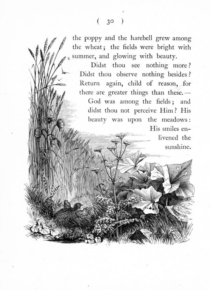 Scan 0044 of Hymns in prose for children