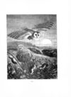 Thumbnail 0081 of The bird and insects
