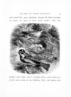 Thumbnail 0095 of The bird and insects