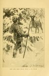 Thumbnail 0241 of The boy scouts in a trapper