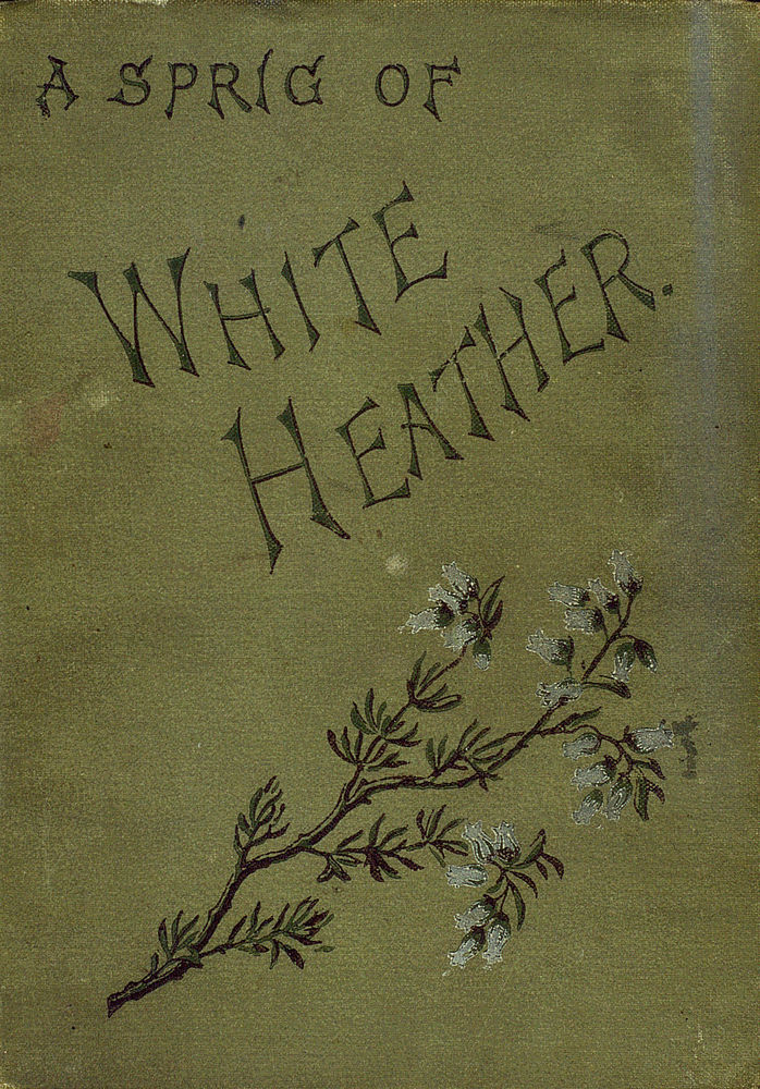 Scan 0001 of Sprig of white heather