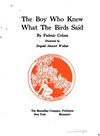 Thumbnail 0009 of The boy who knew what the birds said