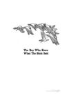 Thumbnail 0017 of The boy who knew what the birds said