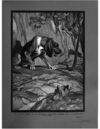 Thumbnail 0159 of An argosy of fables