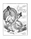 Thumbnail 0025 of Queer people with wings and stings and their kweer kapers