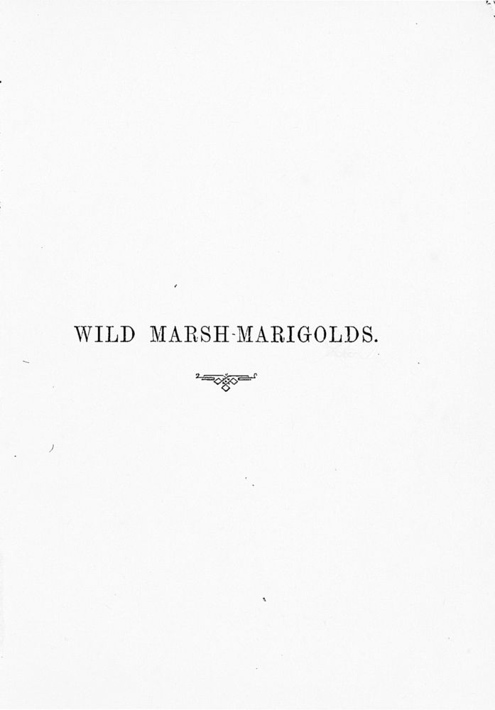 Scan 0004 of Wild marsh-marigolds