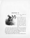 Thumbnail 0035 of Heartsease and the rabbits