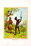 Thumbnail 0156 of The adventures of Robinson Crusoe