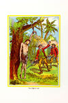 Thumbnail 0279 of The adventures of Robinson Crusoe