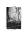Thumbnail 0069 of Collection de cent-cinquante gravures représentant et formant une suite non interrompue des voyages et aventures surprenantes de Robinson Crusoé