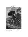 Thumbnail 0117 of Collection de cent-cinquante gravures représentant et formant une suite non interrompue des voyages et aventures surprenantes de Robinson Crusoé