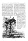 Thumbnail 0035 of St. Nicholas. December 1873