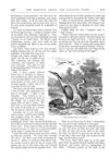 Thumbnail 0008 of St. Nicholas. June 1874