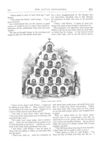 Thumbnail 0025 of St. Nicholas. June 1874
