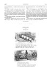 Thumbnail 0054 of St. Nicholas. June 1874