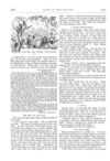 Thumbnail 0058 of St. Nicholas. June 1874