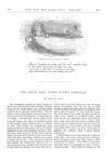 Thumbnail 0015 of St. Nicholas. October 1874