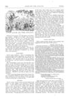Thumbnail 0058 of St. Nicholas. October 1874