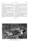 Thumbnail 0012 of St. Nicholas. March 1875