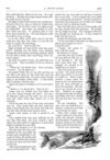Thumbnail 0046 of St. Nicholas. March 1875