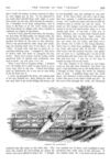 Thumbnail 0010 of St. Nicholas. August 1875