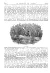 Thumbnail 0011 of St. Nicholas. August 1875