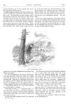 Thumbnail 0020 of St. Nicholas. September 1875