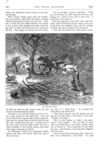 Thumbnail 0044 of St. Nicholas. September 1875
