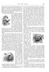 Thumbnail 0074 of St. Nicholas. October 1875