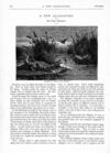 Thumbnail 0012 of St. Nicholas. November 1875